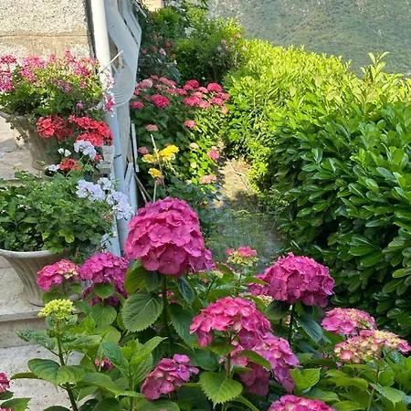 VILLA SANTINE AVEC TERRASSES et VUE PANORAMIQUE Santa-Lucia-di-Tallano Exterior foto