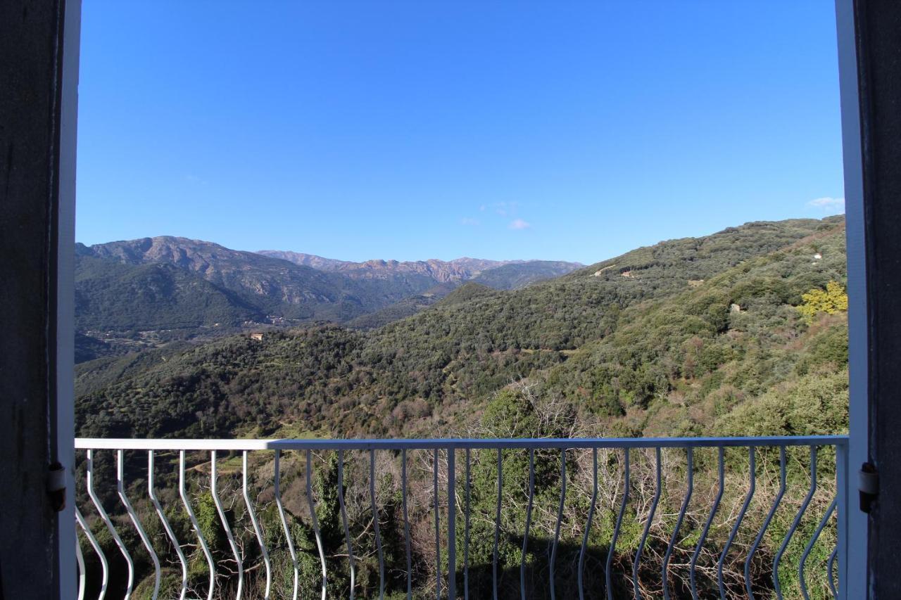 Santine Avec Terrasses Et Vue Panoramique Meuble Tourisme 4 Etoiles Villa Santa-Lucia-di-Tallano