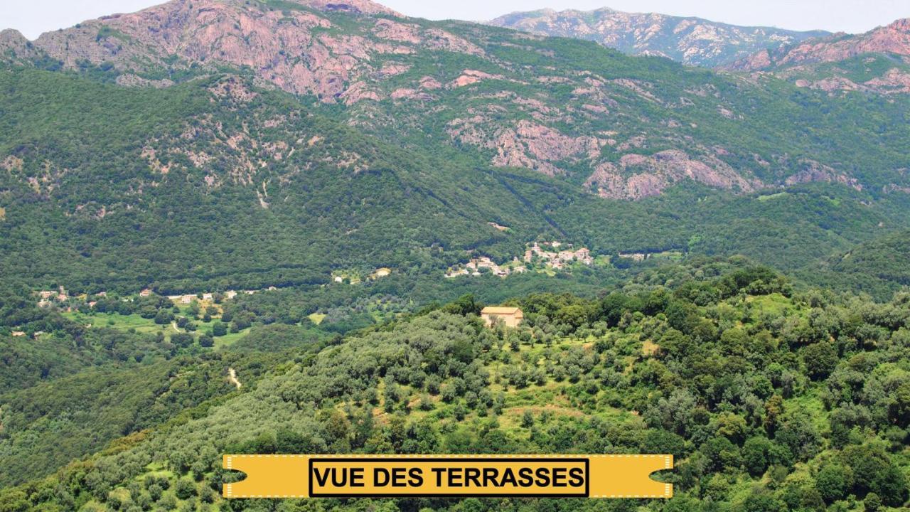 Santine Avec Terrasses Et Vue Panoramique Meuble Tourisme 4 Etoiles Villa *